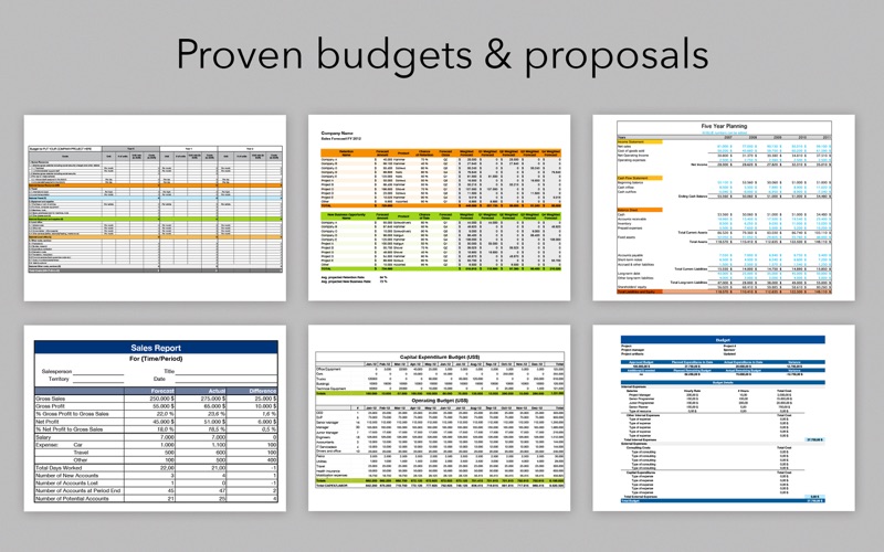 为专业Excel模板