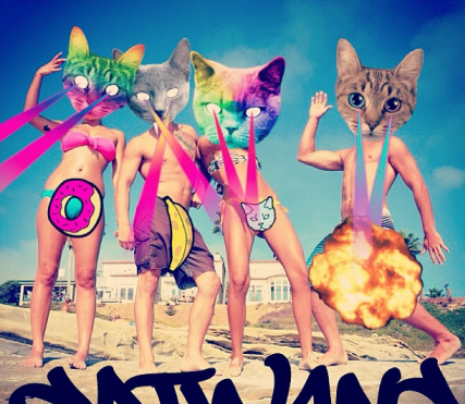 catwang电脑版下载v1.8 官方版