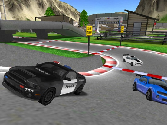 Policedroid 3D : RC 驾驶警车