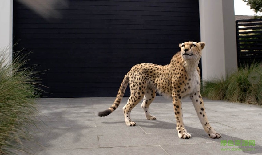 maya毛发插件(Peregrine Labs Yeti)下载v1.3.5 官方最新版