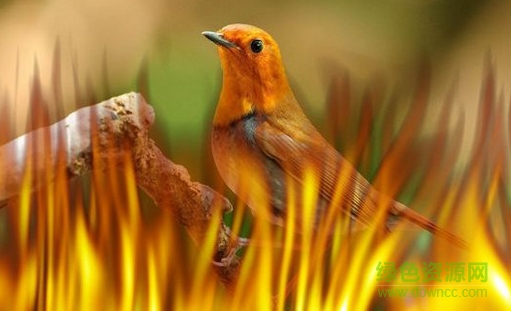 Photoshop eye candy 4000滤镜下载免装版