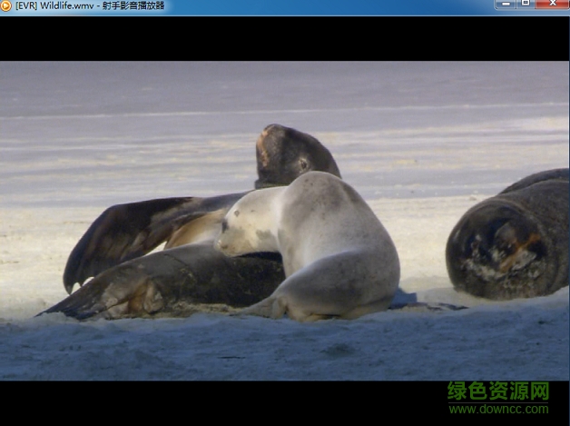 射手播放器360安全版下载v3.7.0.2437 官方最新版