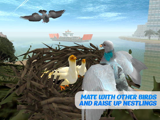 鸽子鸟生存模拟器3D