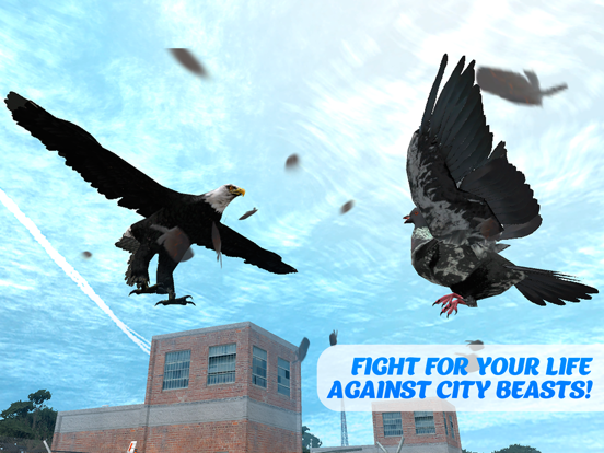 鸽子鸟生存模拟器3D