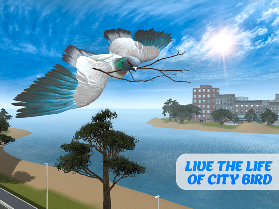 鸽子鸟生存模拟器3D