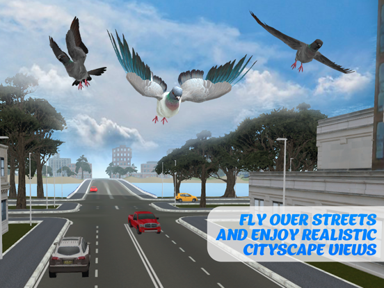 鸽子鸟生存模拟器3D