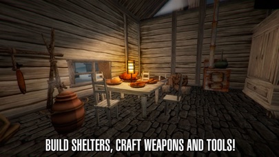 西伯利亚生存: 冷冬天3D