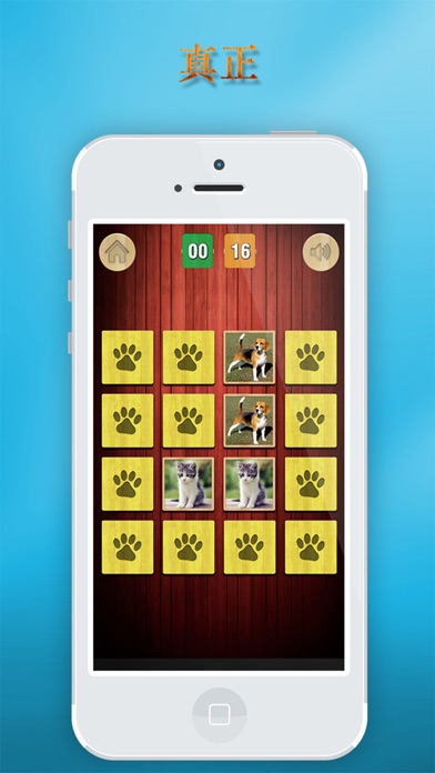 记忆力 游戏 - 搞笑 可爱 小 动物 真正 卡通 图片 - 动物 叫声