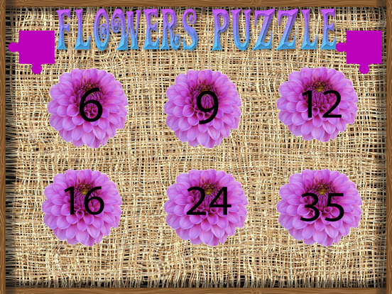 亲切卖花姑娘益智游戏