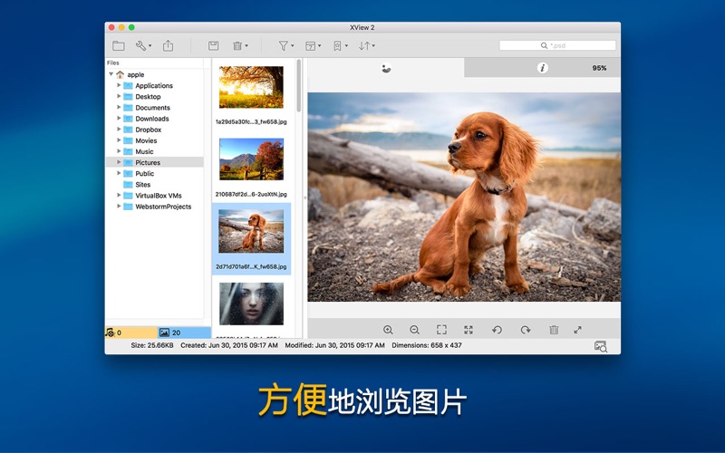 XView2图片浏览器音视频电影播放工具