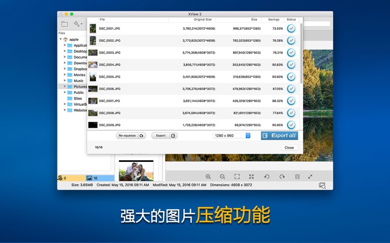 XView2图片浏览器音视频电影播放工具