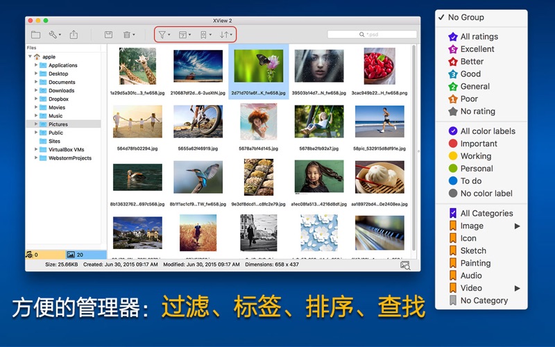 XView2图片浏览器音视频电影播放工具