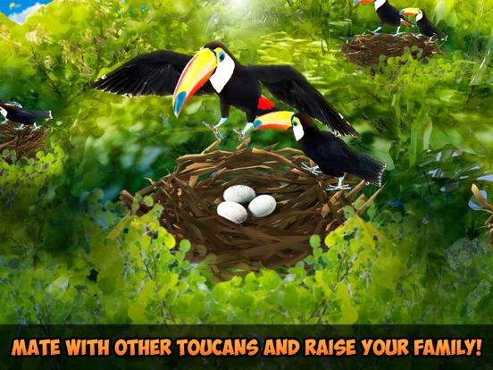 大嘴鸟模拟器3D