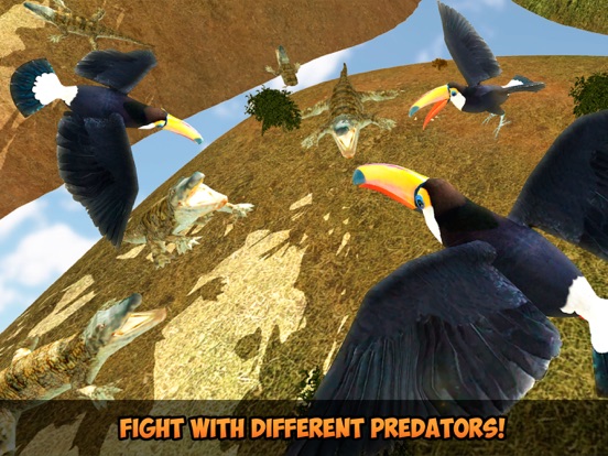 大嘴鸟模拟器3D