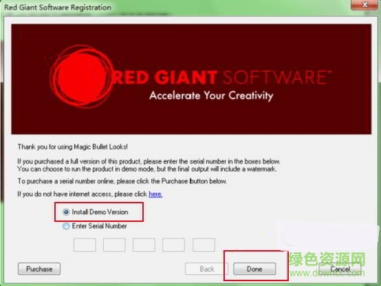 Magic Bullet Looks中文版