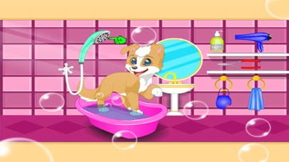 宠物宝宝洗澡打扮养成游戏