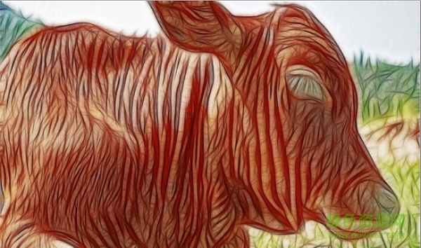 Redfield Fractalius汉化版(线之绘滤镜)下载