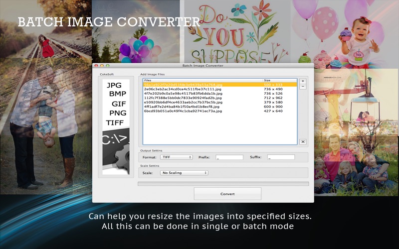 批量图像转换器_BatchImageConverter