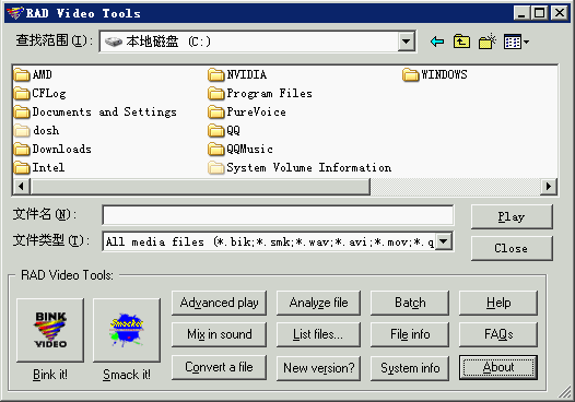 bik格式转换器中文版下载绿色免费版