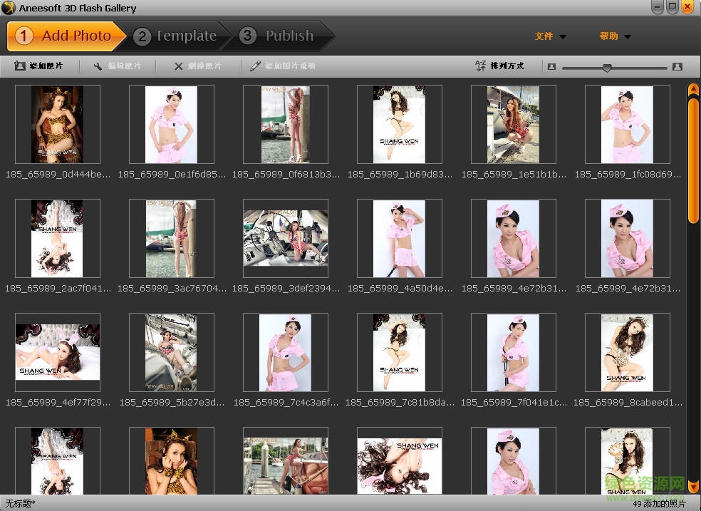 3D Flash相册制作软件(Aneesoft 3D Flash Gallery)下载v2.4 中文绿色版