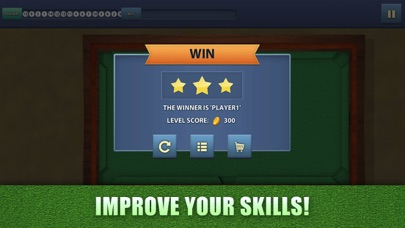 游泳池台球8球冠军