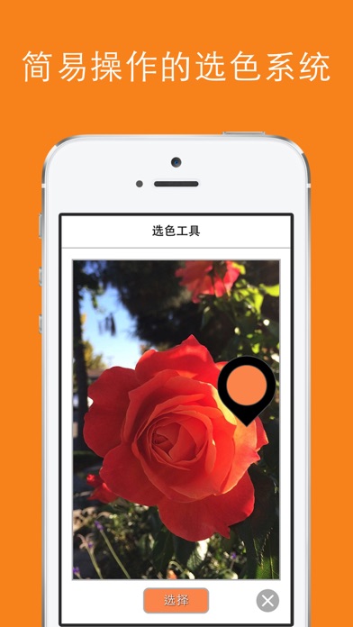 True Color - 调色助手