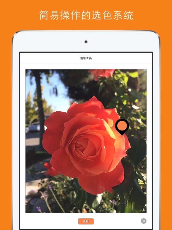 True Color - 调色助手