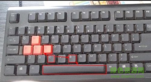 断线结合dcb济南大葱