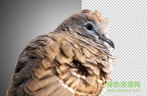 ps黑作坊抠图 ps黑作坊插件(简易抠图面板)