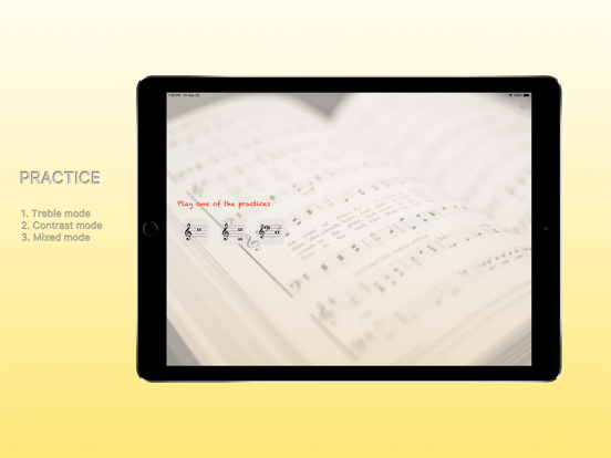DoReMi 训练- FindDoReMi