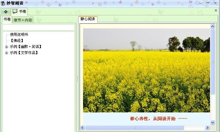 电子书阅读软件 妙智阅读