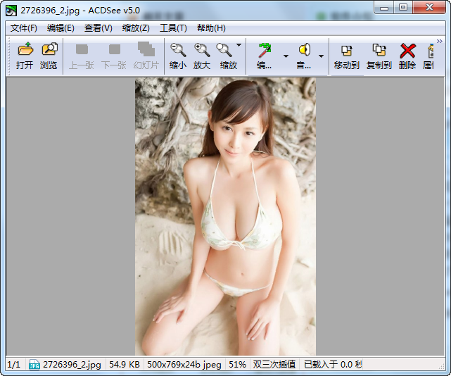 ACDSee绿色精简版