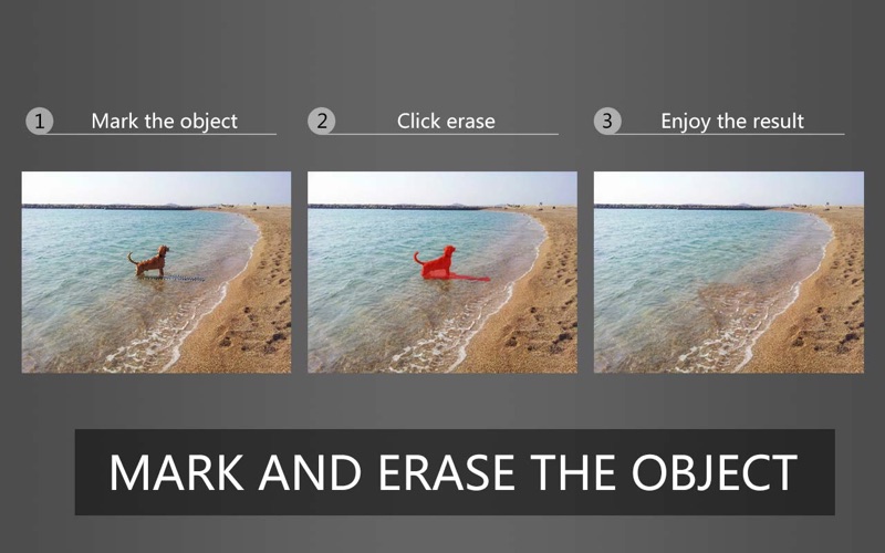 PhotoEraserInpaint图片去多余人物水印等