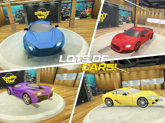 在3D的交通游览竟赛者