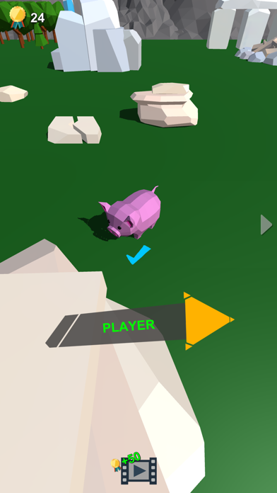 梦幻农场-拥挤的动物园