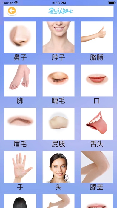 汪汪队长 儿歌多多动画屋