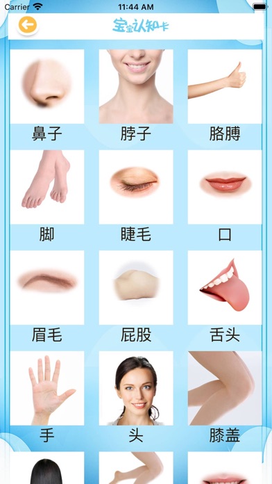 粉红小猪动画片 儿童早教启蒙识字卡