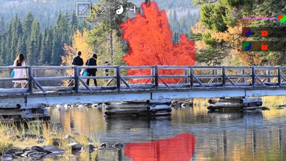 照片红绿蓝通道交换_SwapRGB