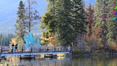 照片红绿蓝通道交换_SwapRGB