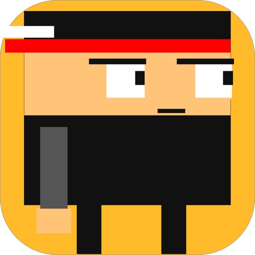 Double Smash Ninja - 2名球员