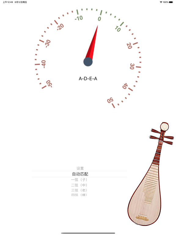 琵琶调音器 - 精确的音准测定