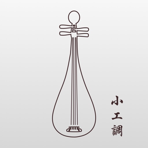 琵琶调音器 - 精确的音准测定