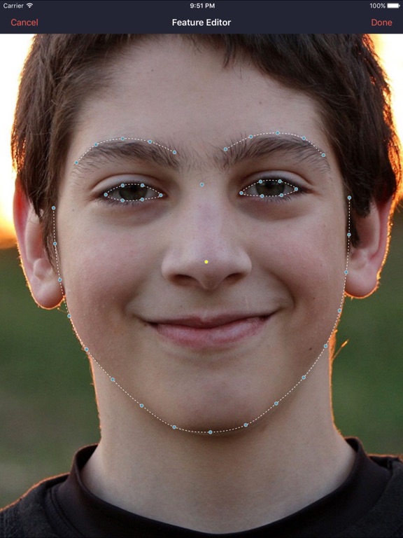 轻松换脸: 一键变身明星