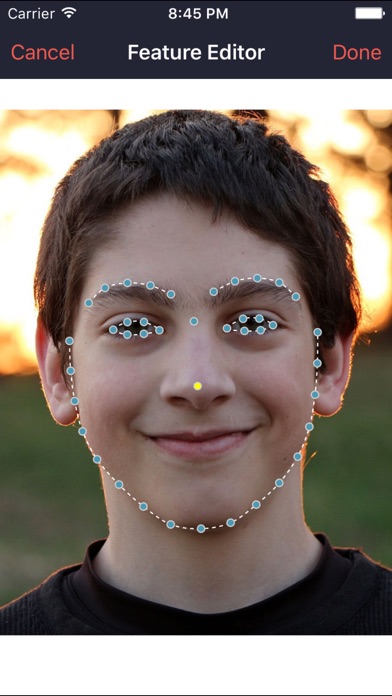 轻松换脸: 一键变身明星