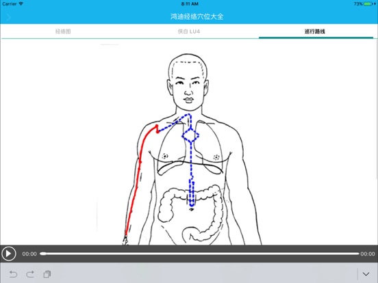 经络穴位大全 HD