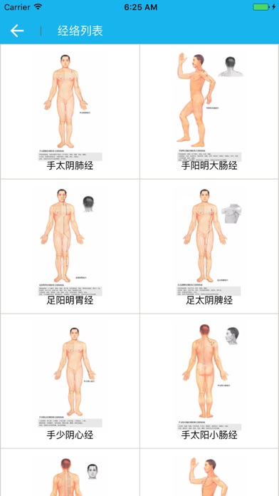 经络穴位大全 HD