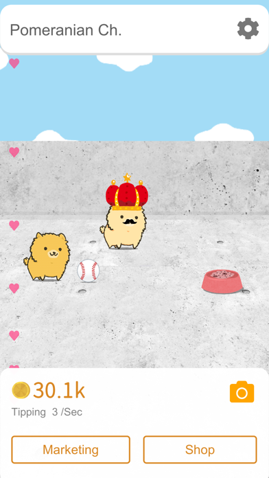 博美犬频道_影响力的狗狗