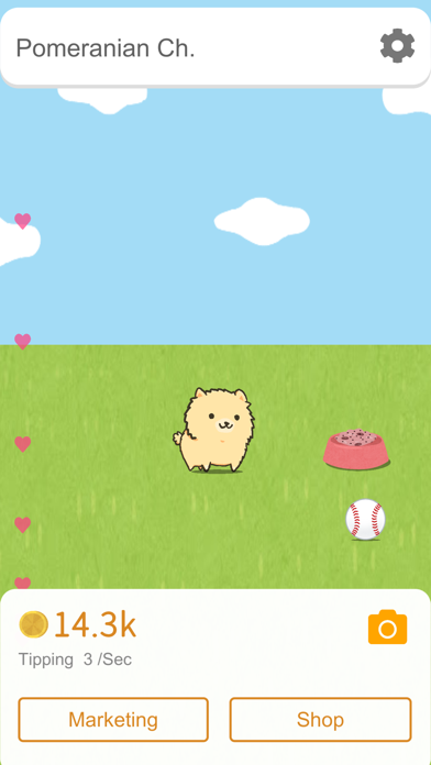 博美犬频道_影响力的狗狗