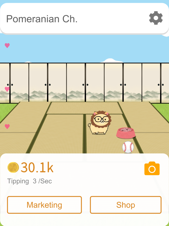 博美犬频道_影响力的狗狗