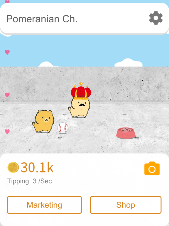 博美犬频道_影响力的狗狗